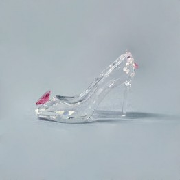Schoen met Vlinder